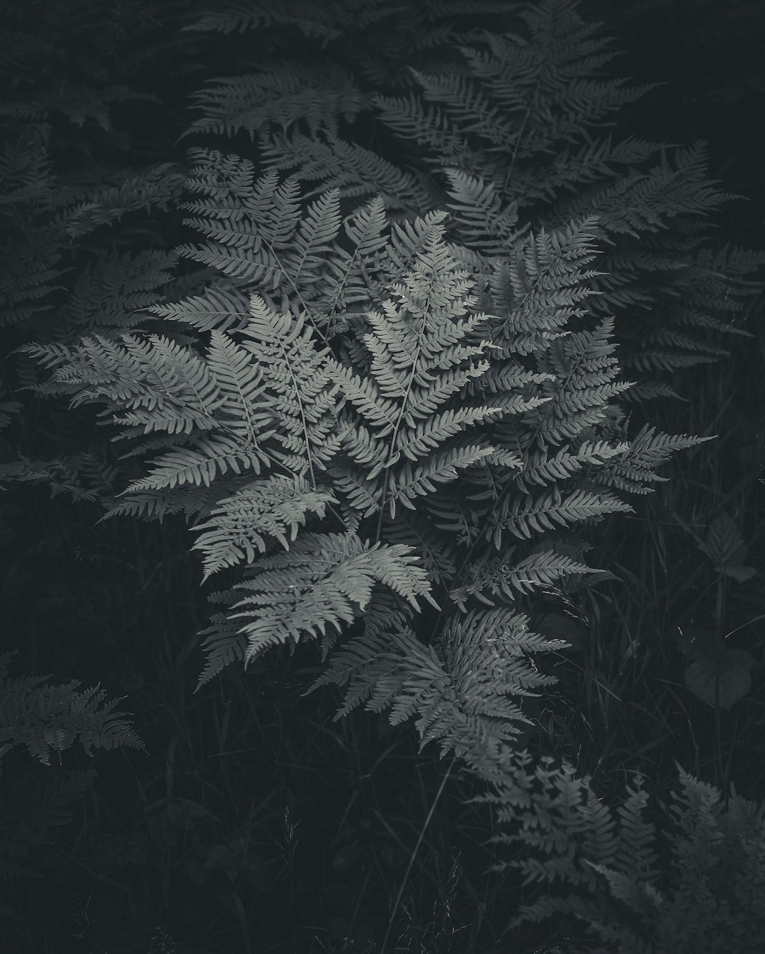 2025's Secret Fall Travel Deals for Retirees Revealed