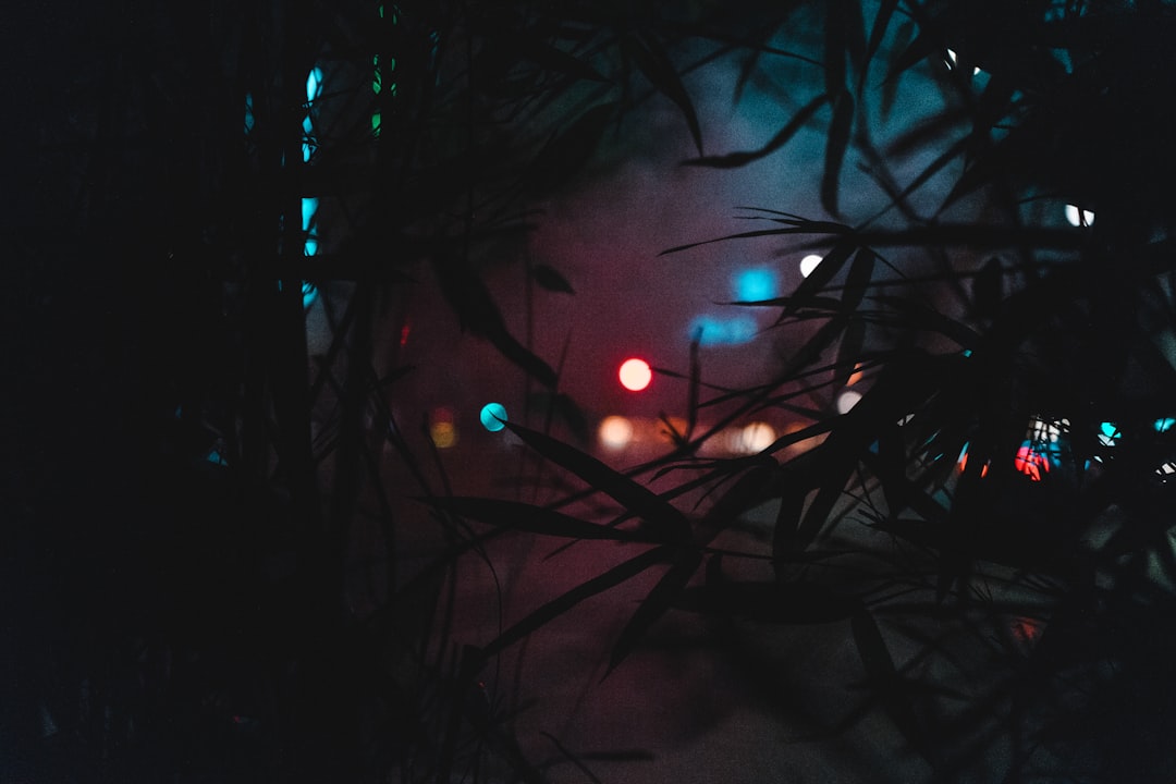 2025 Holiday Travel Secrets: Save $500+ Instantly