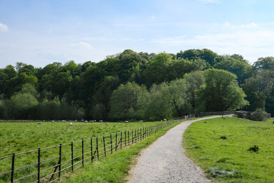 2026 Travel Trends: Farms, Castles & Film Locations