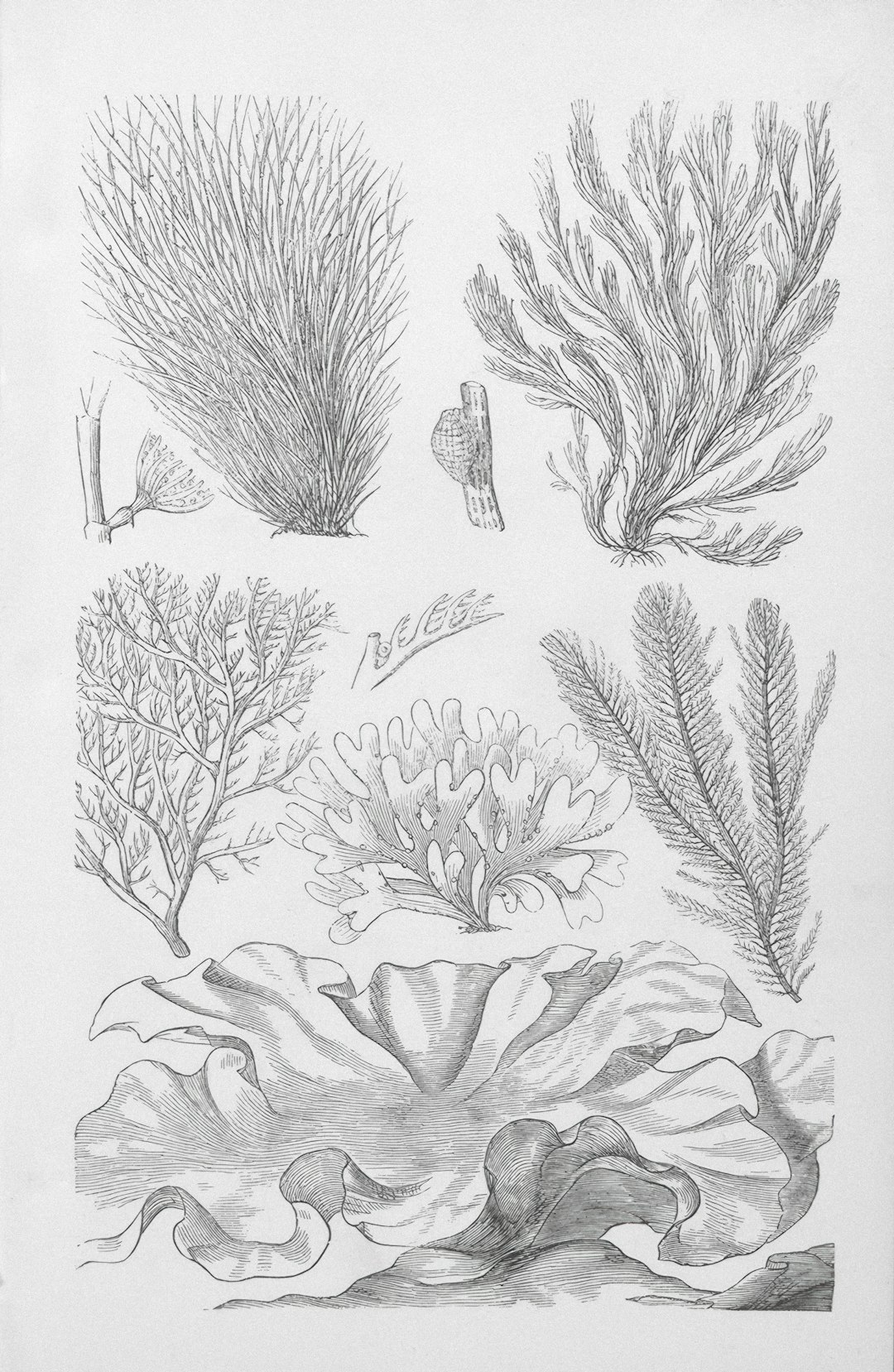 30a Vacation Rentals: Your Complete Guide to Florida's Emerald Coast