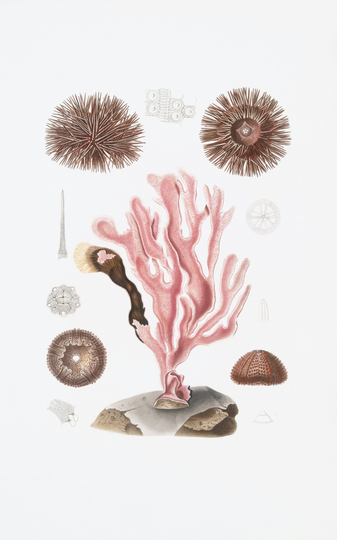 30a Vacation Rentals: Your Guide to Florida's Emerald Coast Paradise