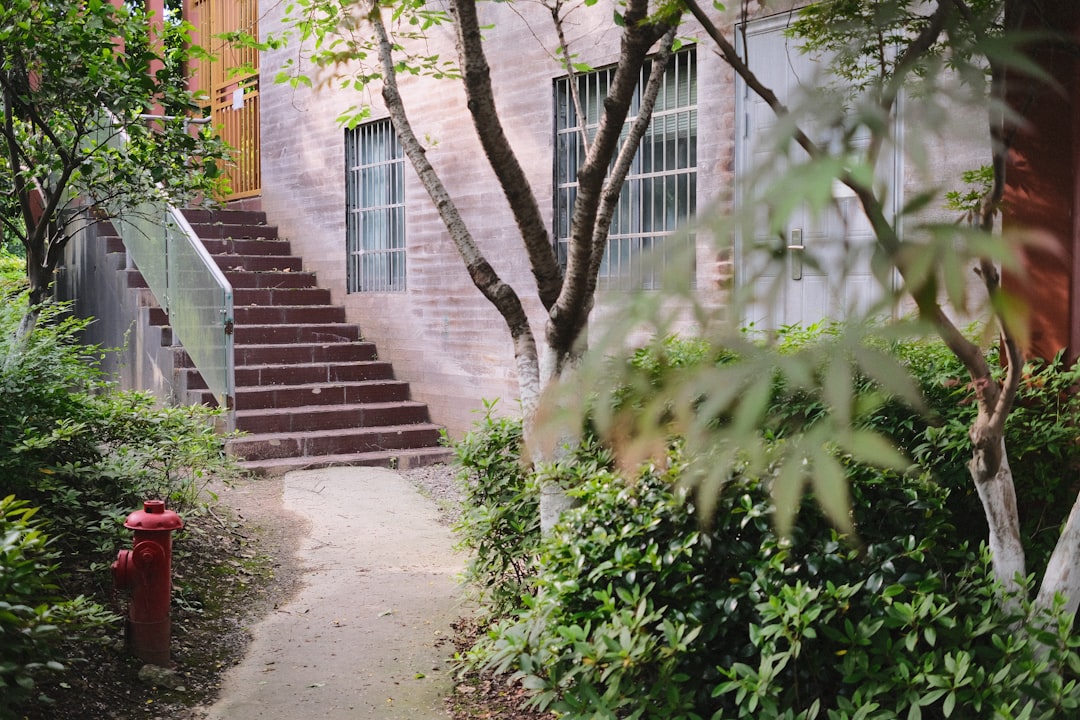 42 Reasons Paraguay Is South America's Most Underrated Destination