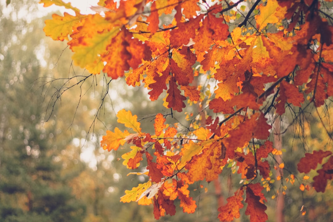 6 Magical Autumn Escapes You Never Knew Existed