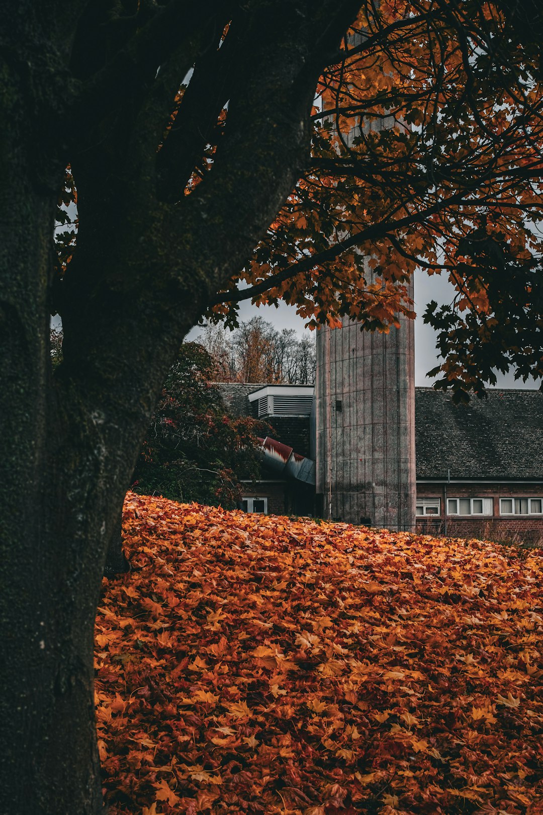 7 Charming US Small Towns Perfect for Fall Getaways