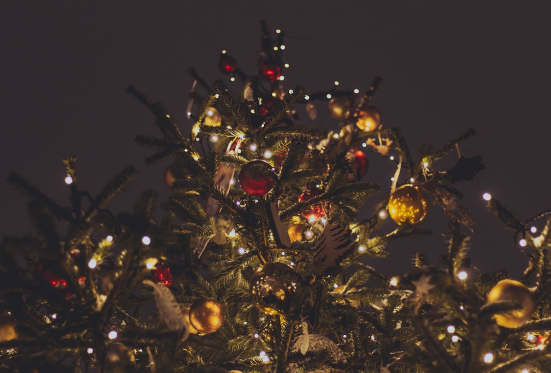 A Christmas Less Traveled: Finding Joy in Alternative Holiday Traditions