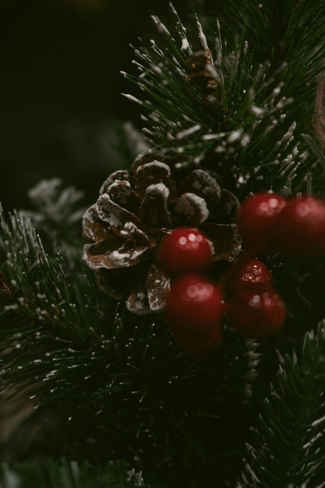 A Christmas Vacation: Festive Getaways & Holiday Magic