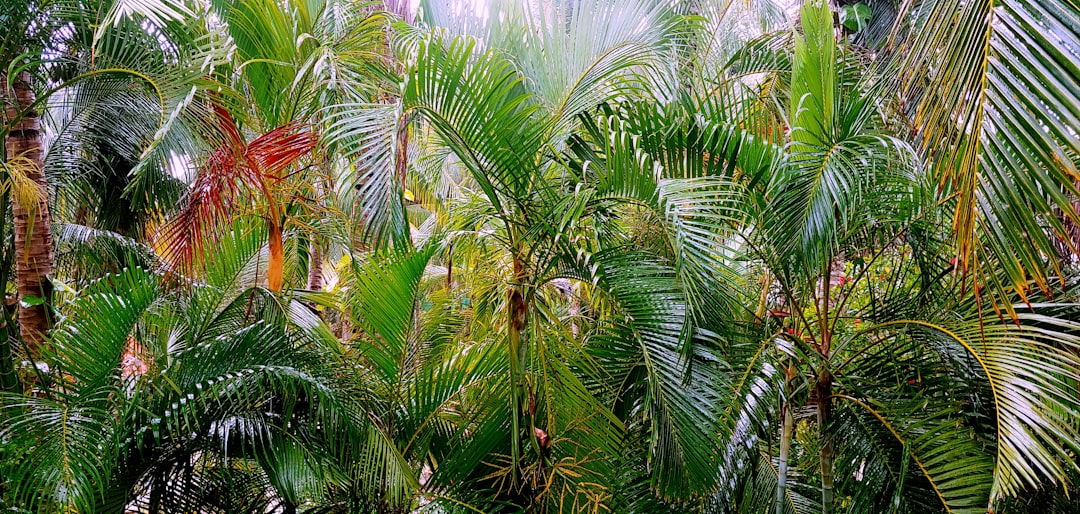 Adam Stewart Skift Forum: Authentic All-Inclusive Caribbean Vacations