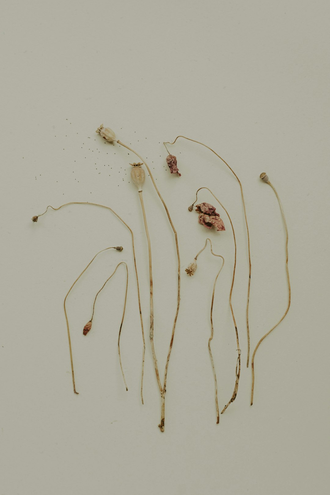 Adults Only All Inclusive Vacations in Florida: Luxury & Relaxation