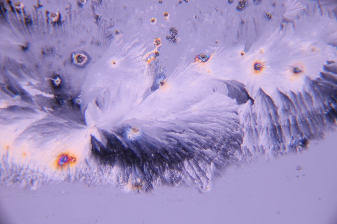 Adults Only All Inclusive Vacations in Florida: Luxury Resorts & Romantic Getaways