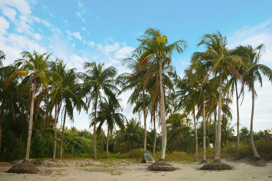 All Inclusive Aruba Vacations: Luxury Resorts & Beaches