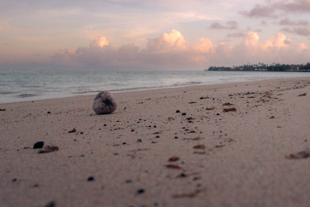 All Inclusive Aruba Vacations: Luxury Resorts & Caribbean Paradise