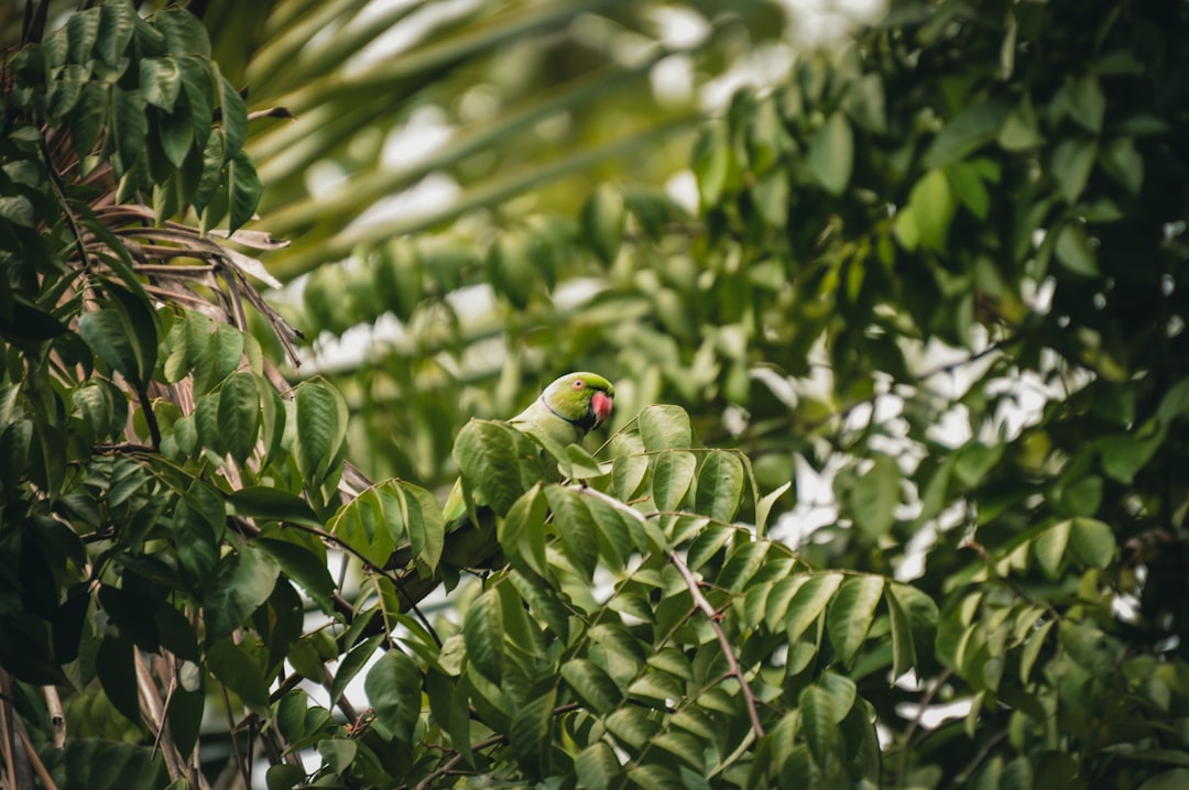 All Inclusive Cancun Vacations: Luxury Resorts & Caribbean Beaches