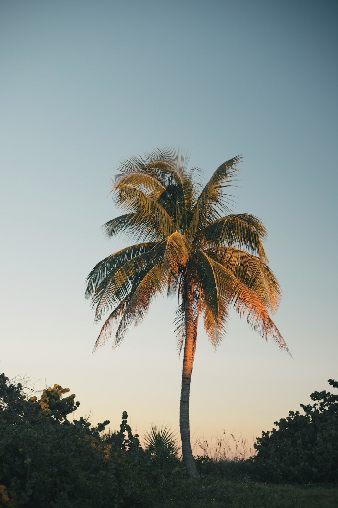 All Inclusive Caribbean Vacations: Ultimate Guide & Best Resorts