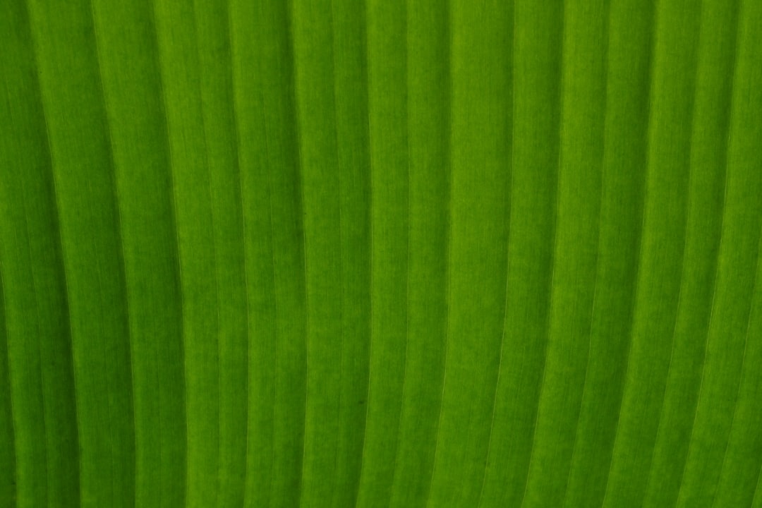 All Inclusive Florida Keys Vacation: Tropical Paradise & Island Getaway