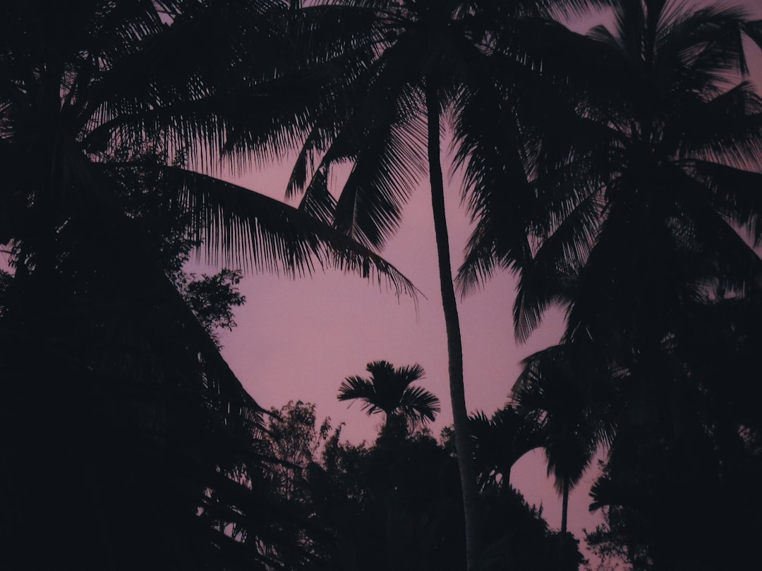 All Inclusive Hawaii Vacation: Luxury Resorts & Island Paradise