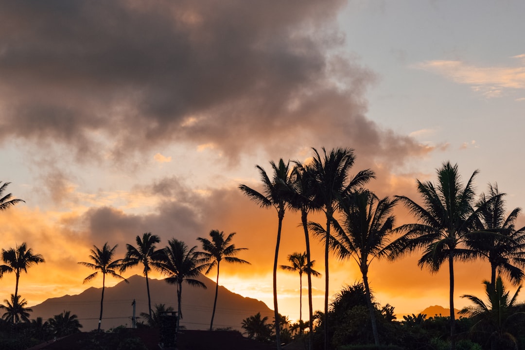 All Inclusive Hawaii Vacation Packages: Ultimate Guide & Best Deals