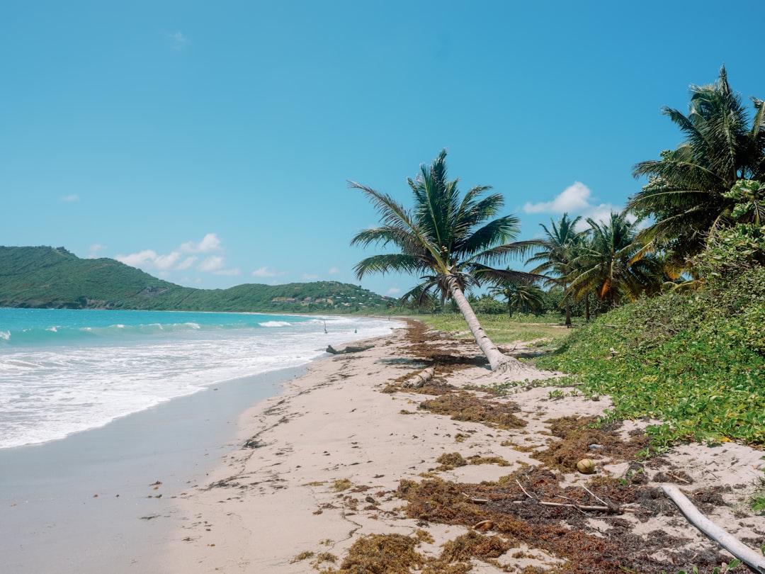 All Inclusive Jamaica Vacations: Luxury Resorts & Stress-Free Travel