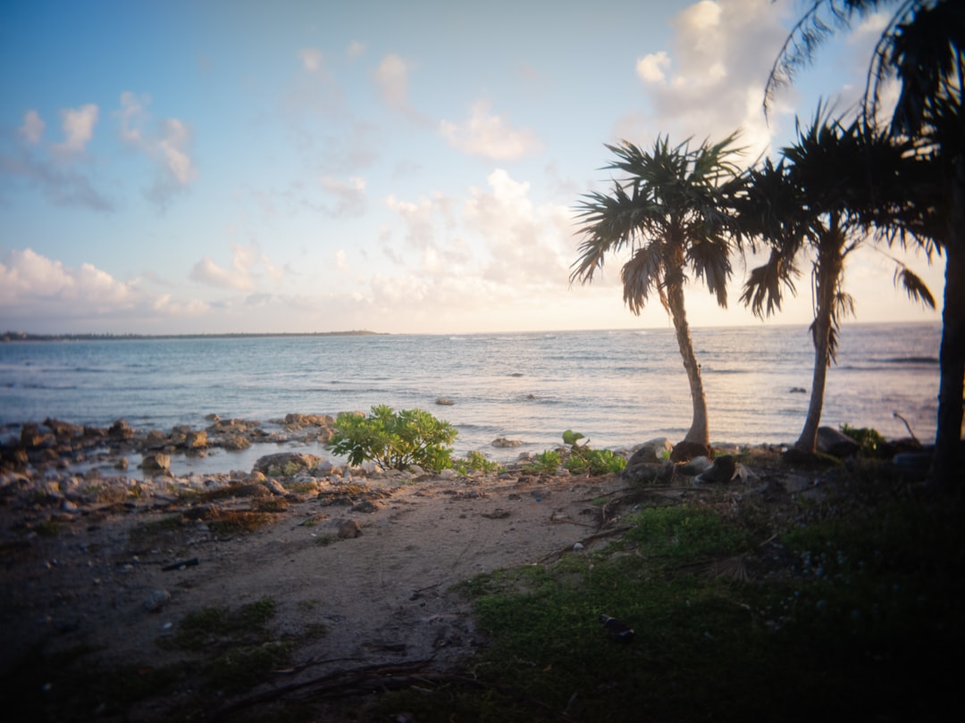 All Inclusive Vacation to Aruba: Caribbean Paradise & Beach Bliss