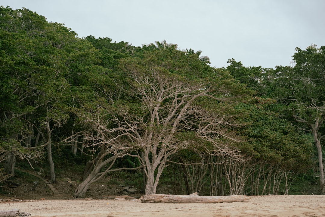 All Inclusive Vacation to Aruba: Ultimate Caribbean Paradise Guide