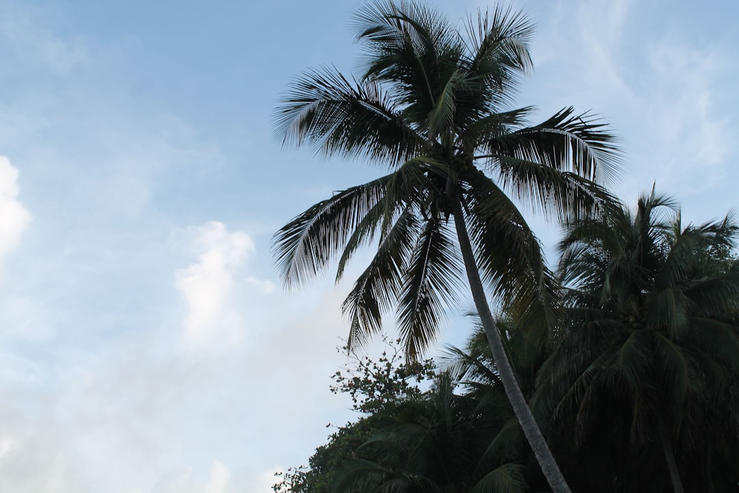 All Inclusive Vacation Resorts in the Caribbean: Best Luxury Deals & Family Packages