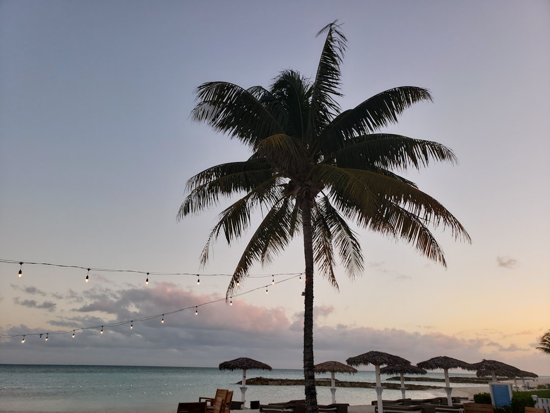 All Inclusive Vacations Bahamas Family: Stress-Free Tropical Getaway