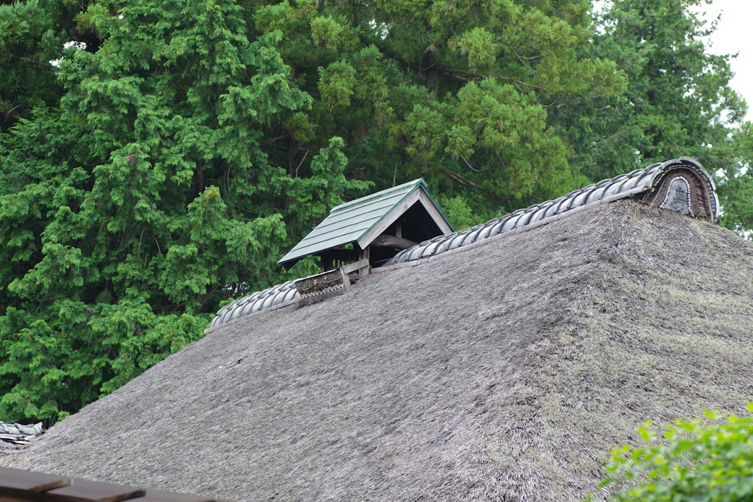 Allstate Roof Hail Damage Claims: Expert Guide to Insurance Approval & Repair