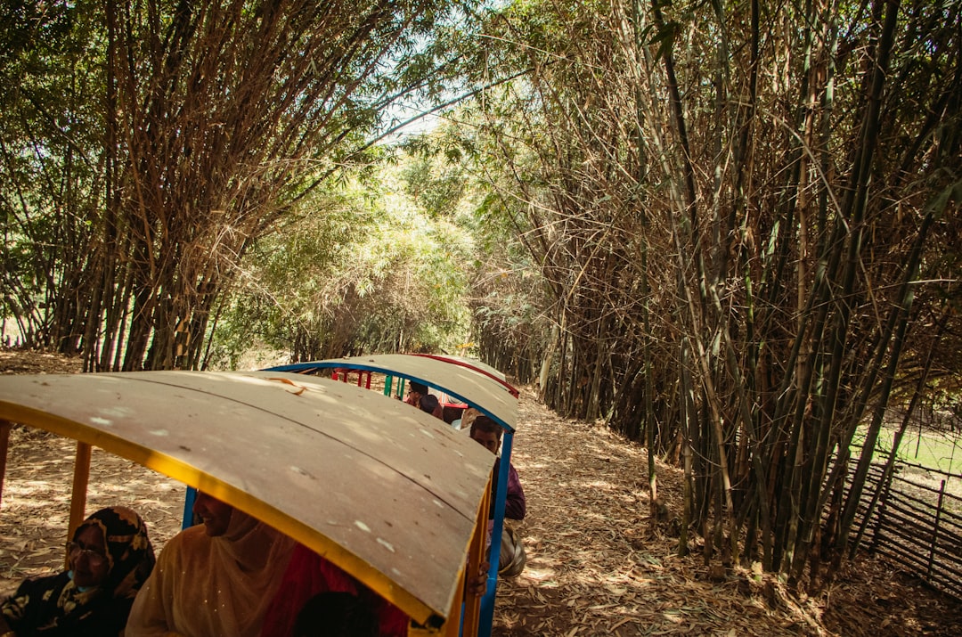 Amazon's Secret Travel Pants: 50 Colors, Endless Adventures