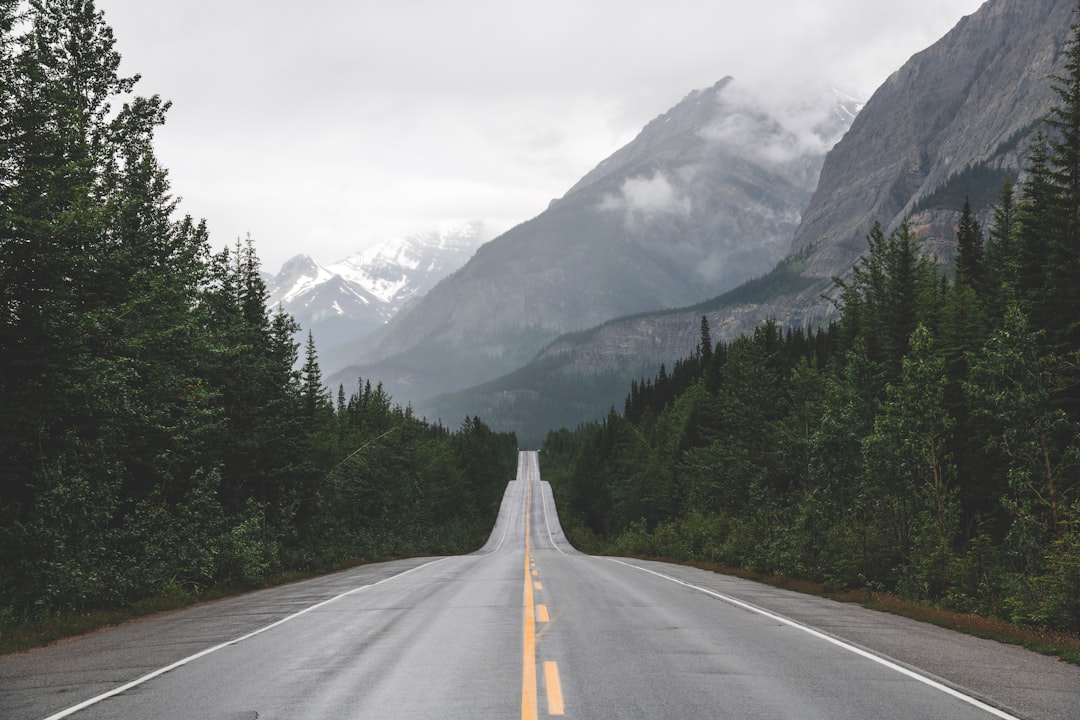 Americans Prioritize Travel Over Daily Expenses - New Trend