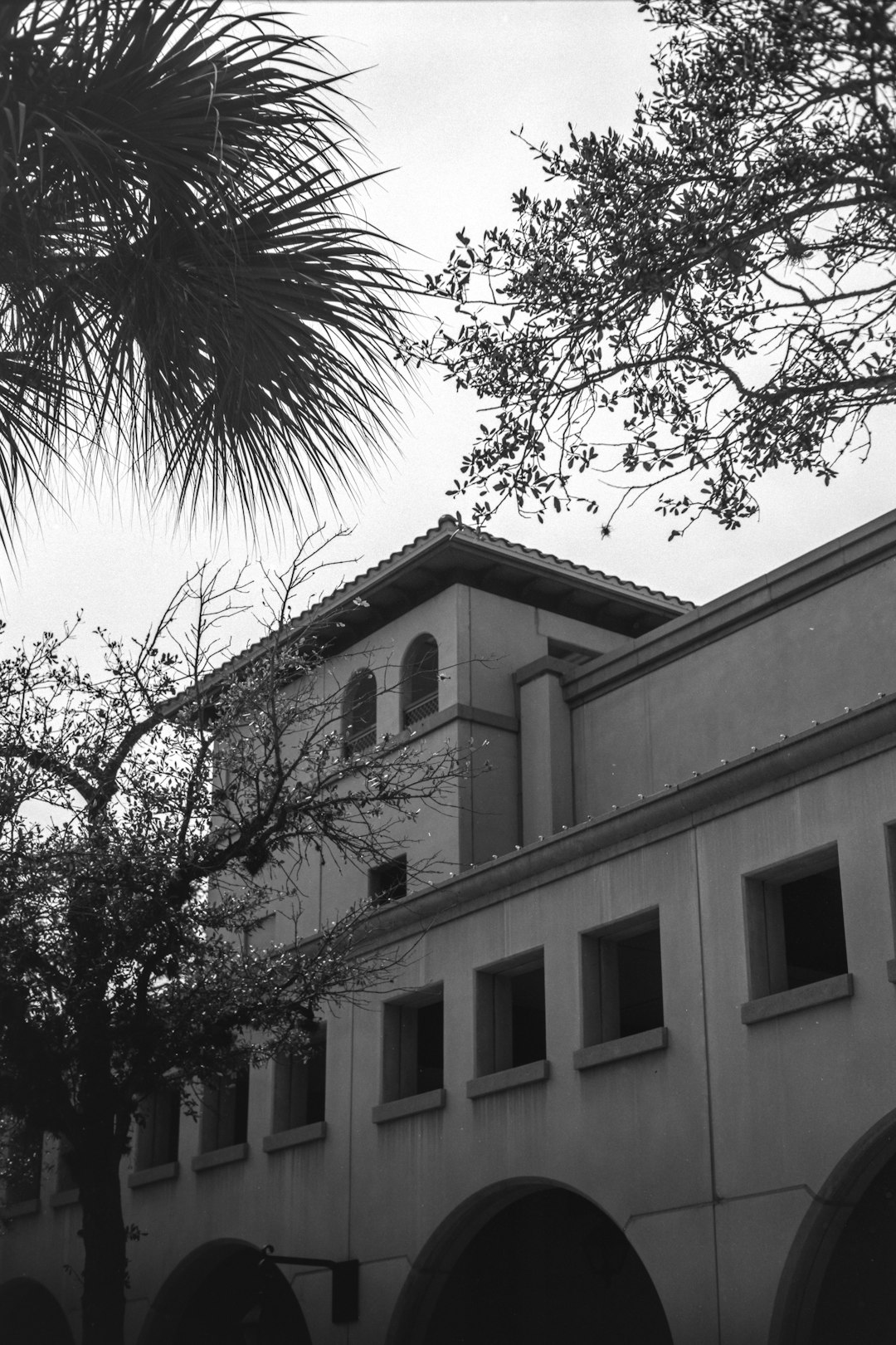 Anna Maria Island Beach Rentals: Your Ultimate Guide to Coastal Paradise