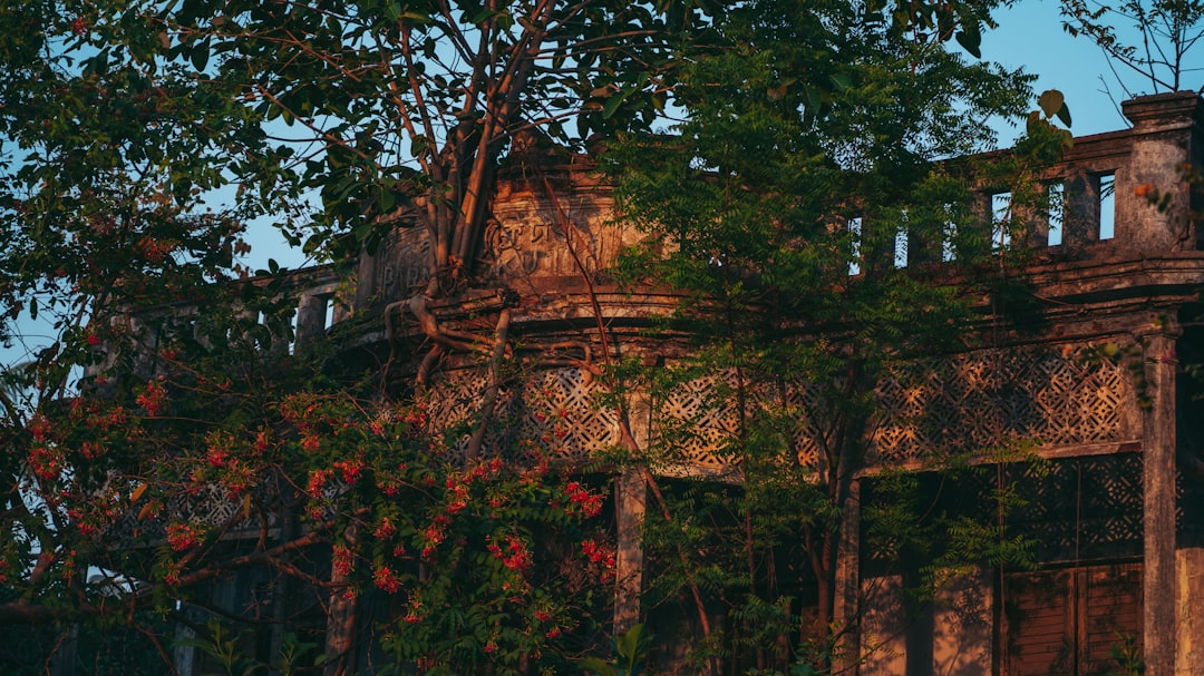 Anna Maria Vacation Rentals on the Beach: Your Guide to Gulf Coast Paradise