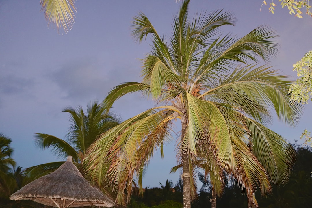 Aruba All Inclusive Vacations: Caribbean Paradise & Family Fun