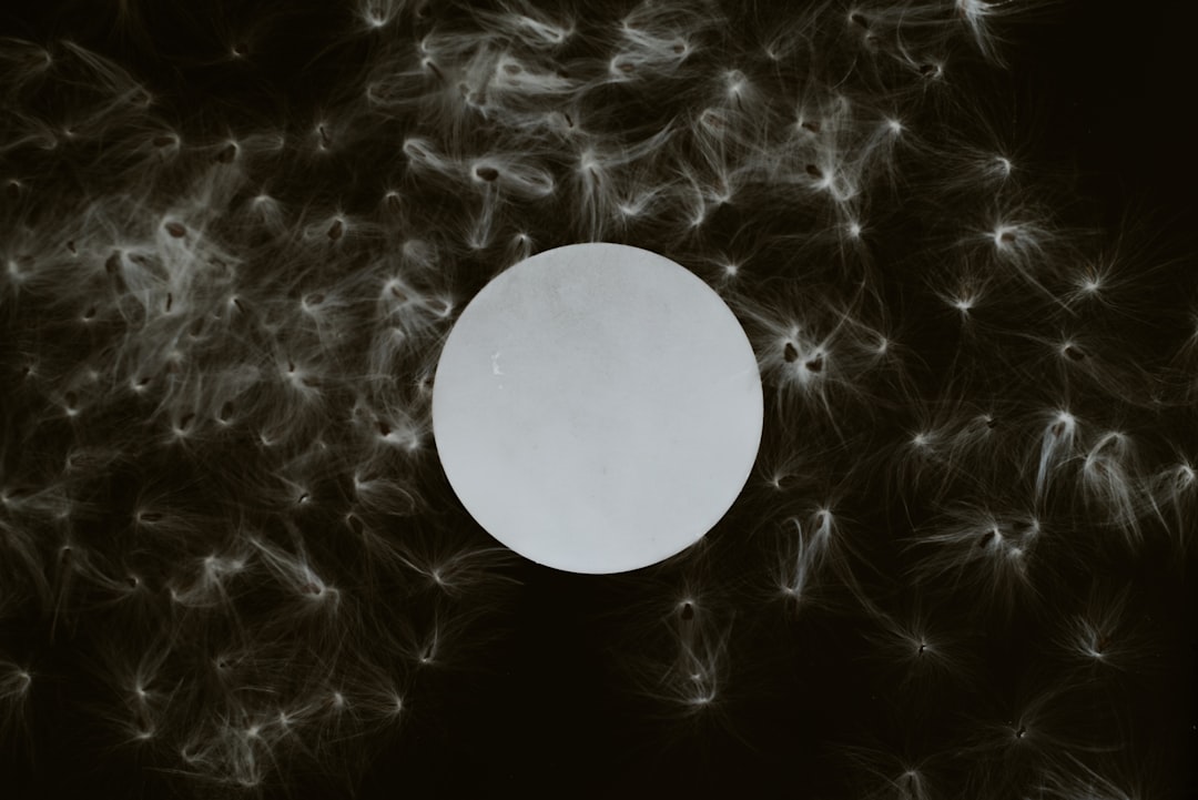 Atum Solar Roofing: Complete Guide for Homeowners on Solar Shingles