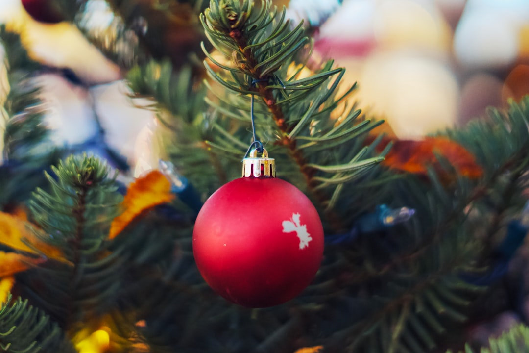 Aunt Bethany Christmas Vacation: Family Fun & Holiday Memories