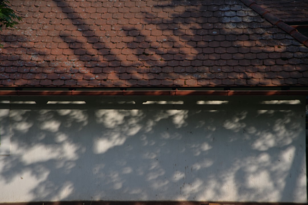 Average Cost of Solar Roof: Complete 2025 Guide & Real Project Breakdown