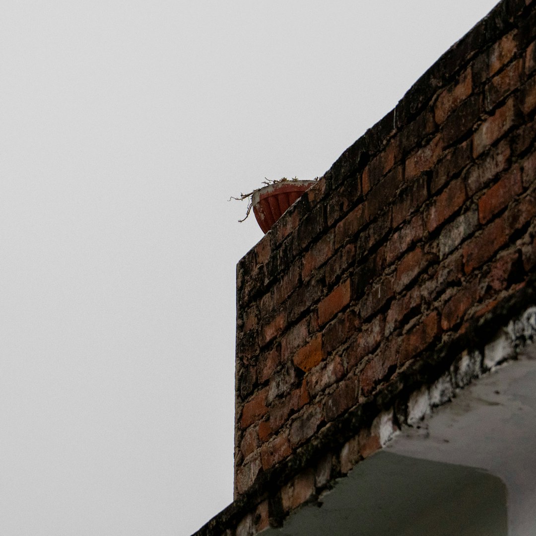 Average Insurance Payout for Hail Damage Roof: Real Costs & Claim Tips