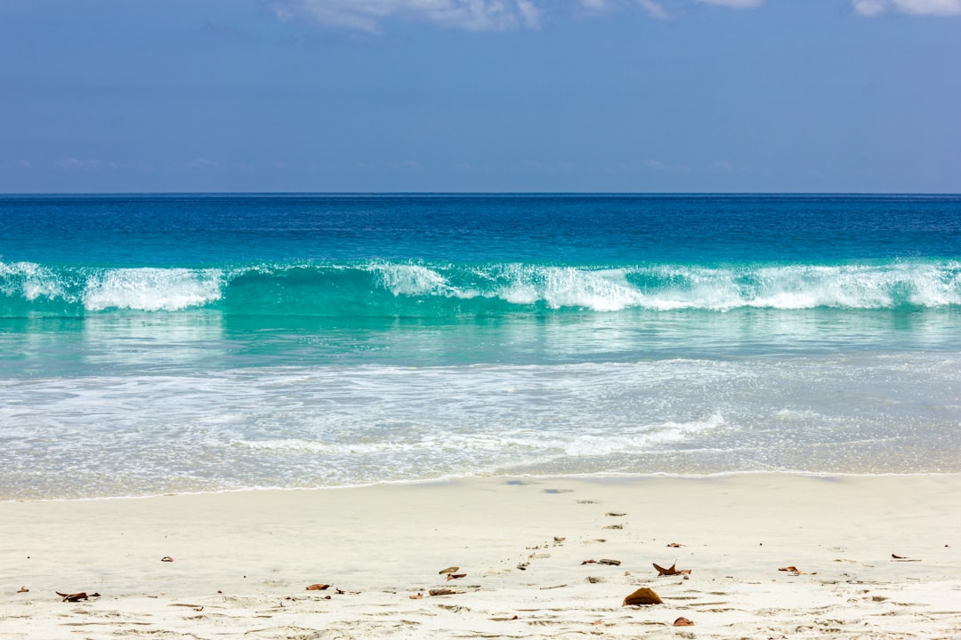 Beach Vacation Packing List: Essential Items & Smart Travel Tips