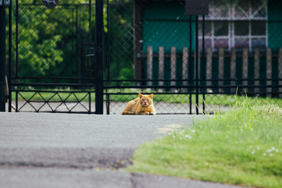 Bearcats Golf Team's Epic Kentucky Showdown Revealed