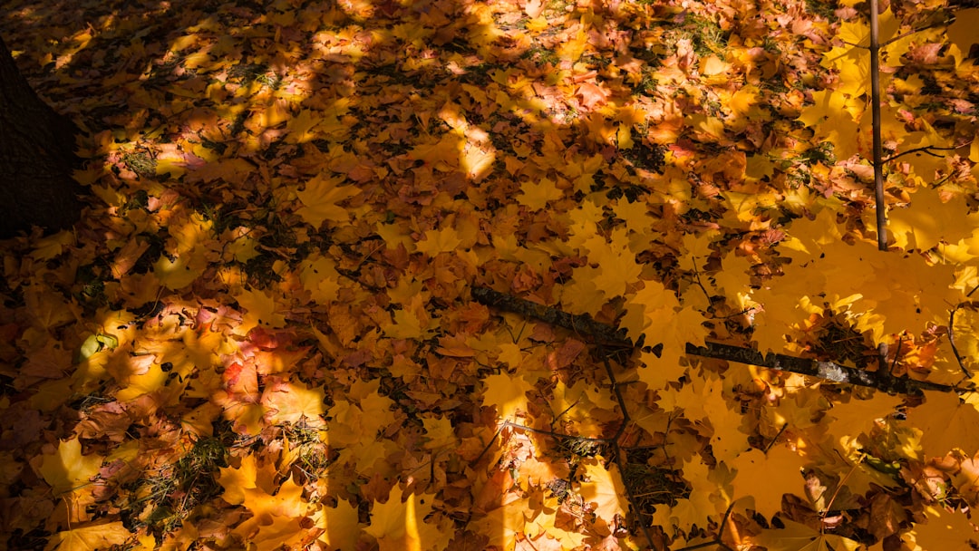 Best Autumn Family Vacations: Top Kid-Friendly Destinations