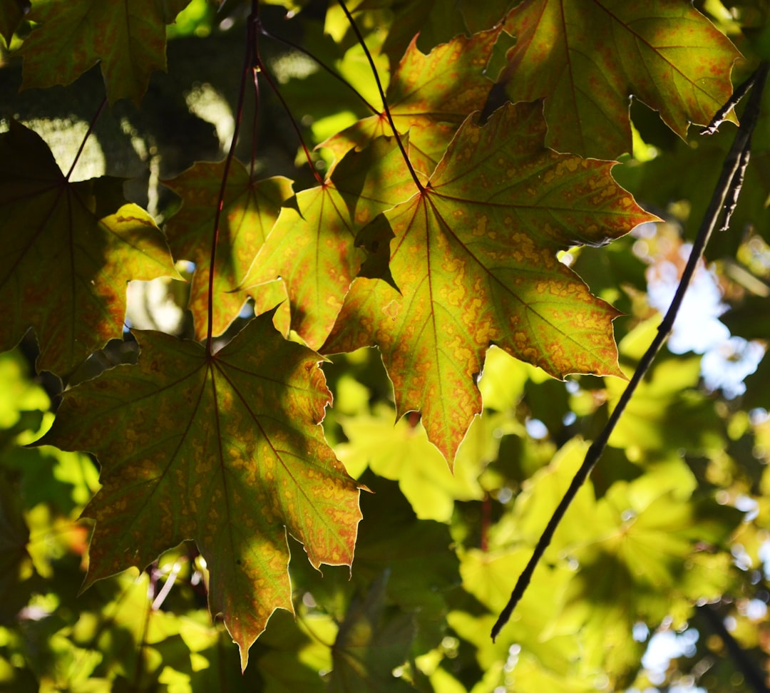 Best Autumn Family Vacations - National Geographic Inspired Trips