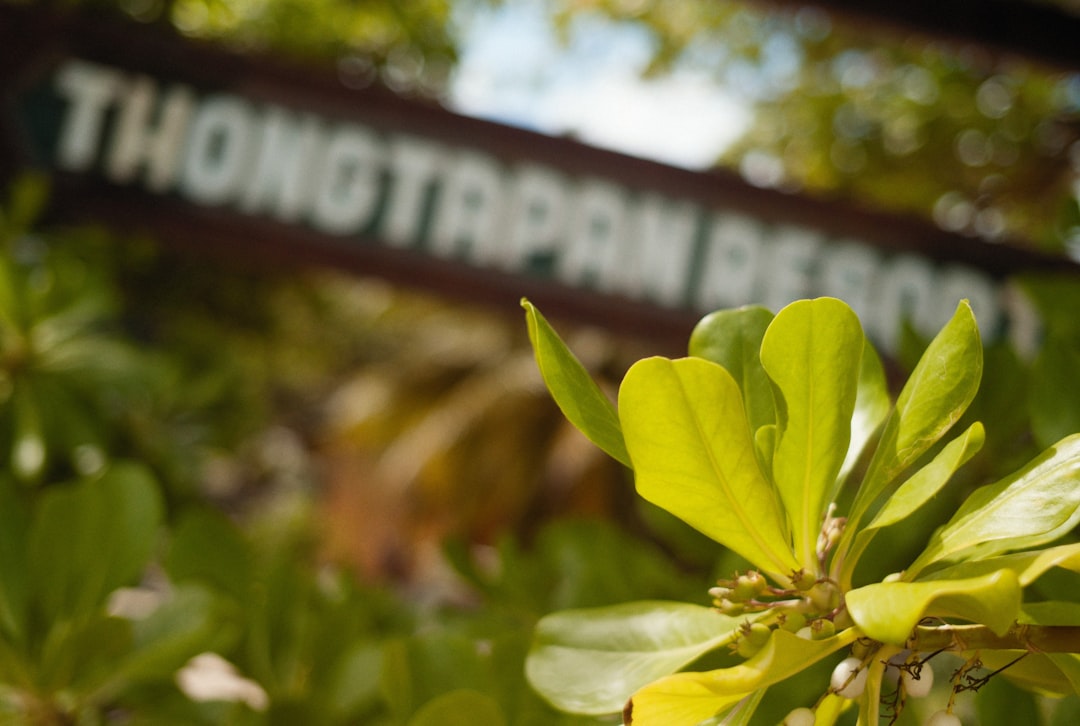 Best Beach Vacations: Tropical Paradise & Budget Tips