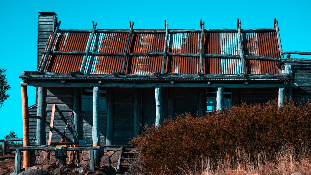 Best Solar Roof Options for Texas Homes: Expert Guide & Cost Analysis