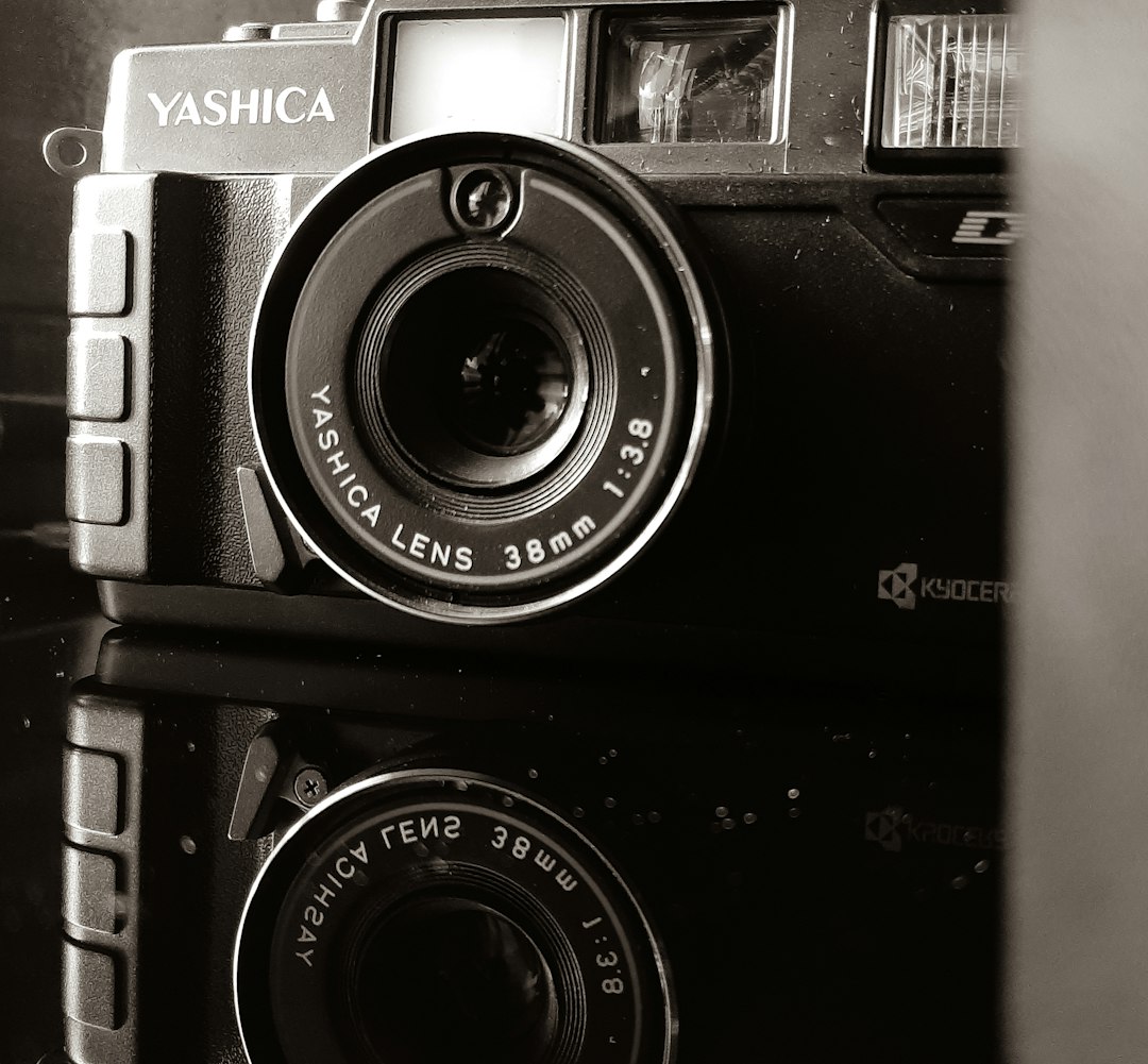 Best Travel Cameras You'll Actually Use on Vacation