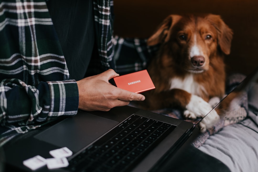 Booking.com Scam Alert: Don't Get Hooked!