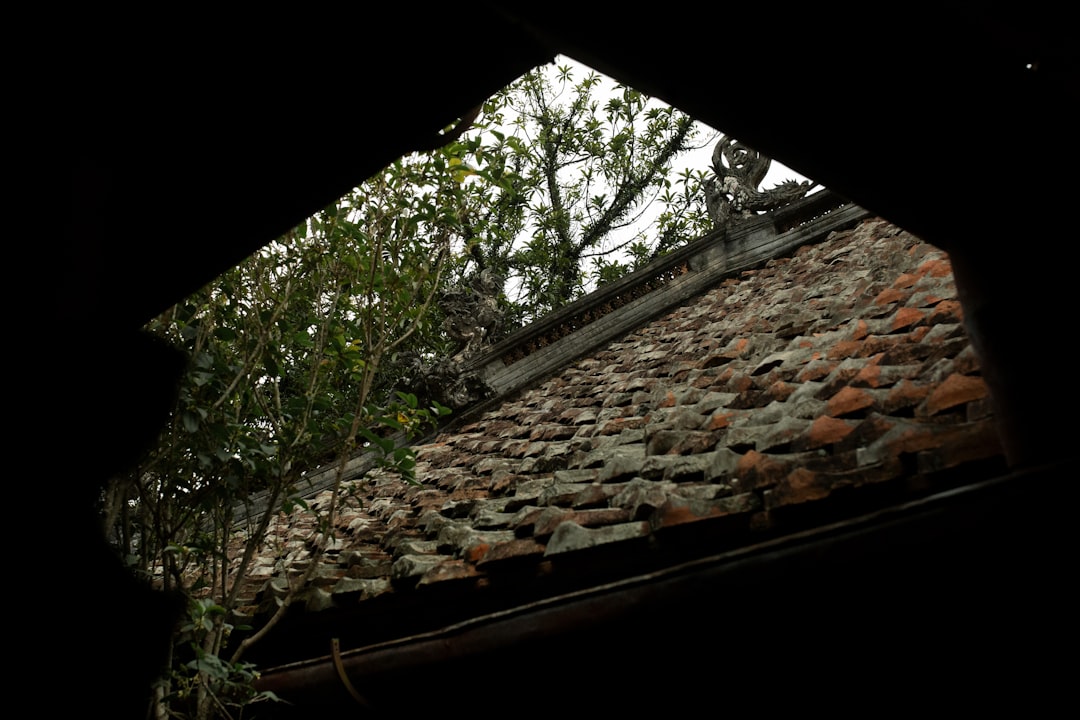 Bountiful Roof Repair: Expert Solutions for Leaks and Storm Damage