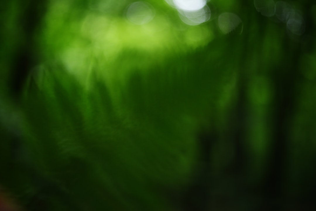 Can Green Card Holders Travel? Your Complete Guide to International Trips