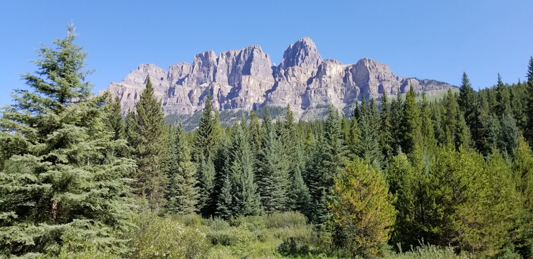 Canada's Travel Ban Sparks State Rebellion Against Trump