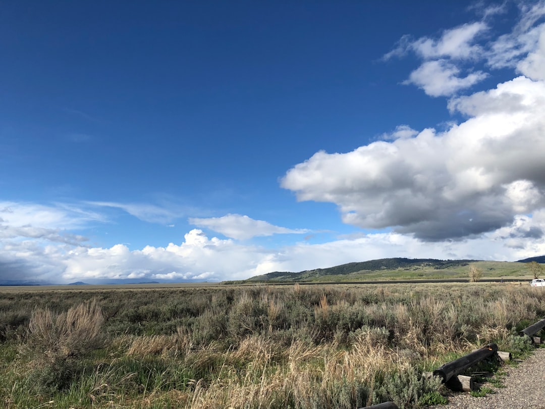 Cannon Beach Vacation Rentals: Your Guide to Oregon Coast Stays & Ocean Views