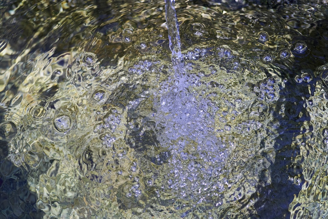 Cape Coral Florida Vacation Home Rentals: Your Guide to Waterfront Paradise