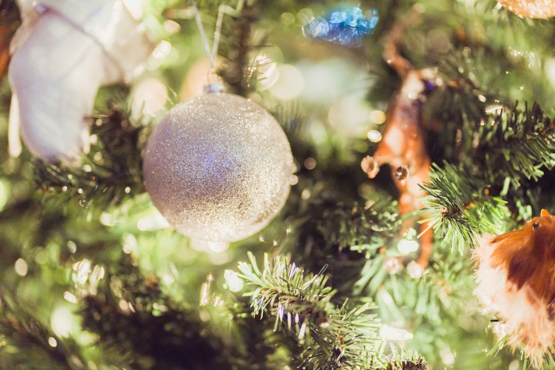 Cast Christmas Vacation: Ultimate Family Trip Guide & Destinations