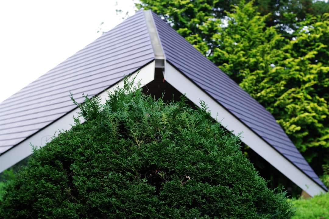 Cedar Roof Maintenance Guide: Expert Tips & Cost Savings